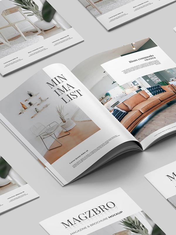 Money & Chair Magazine Design